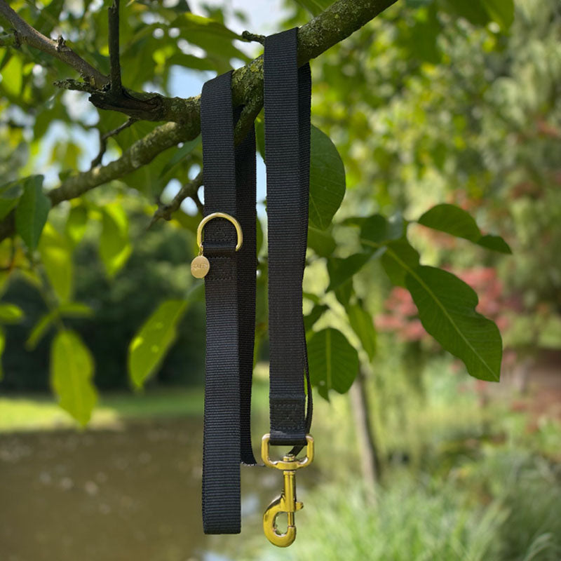 Classic Dog Leash Raven Illume Midnight Black