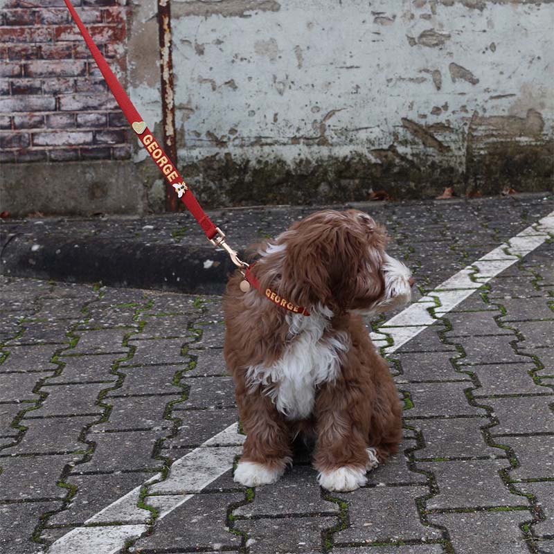 Puppy Dog Collar Ruby Gale Ruby Red