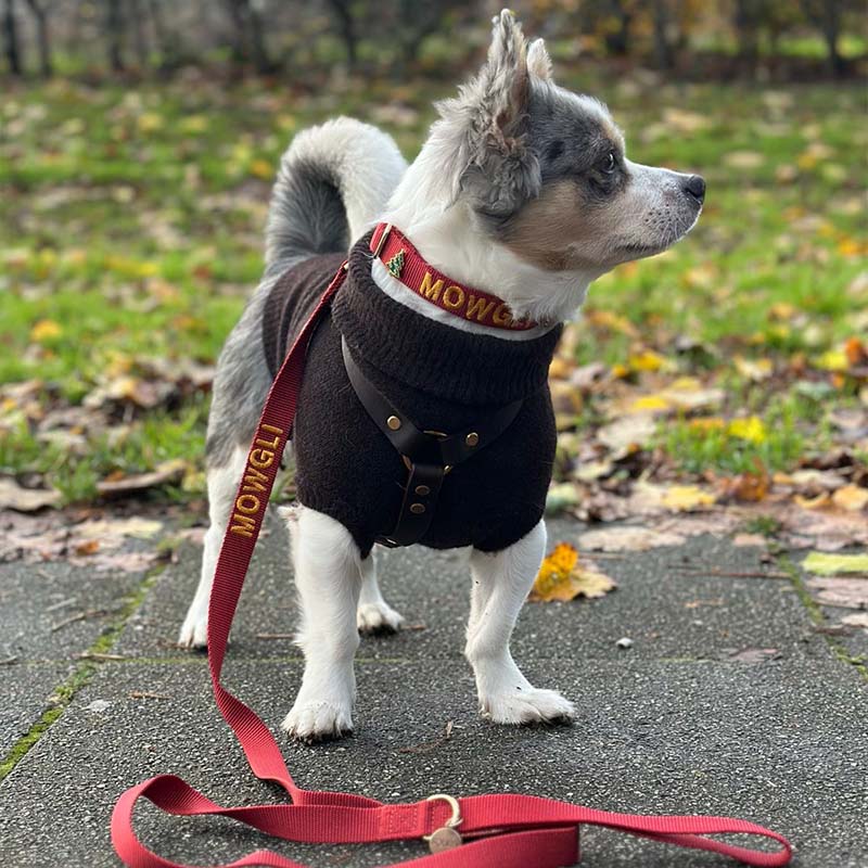 Classic Dog Leash Ruby Gale Ruby Red