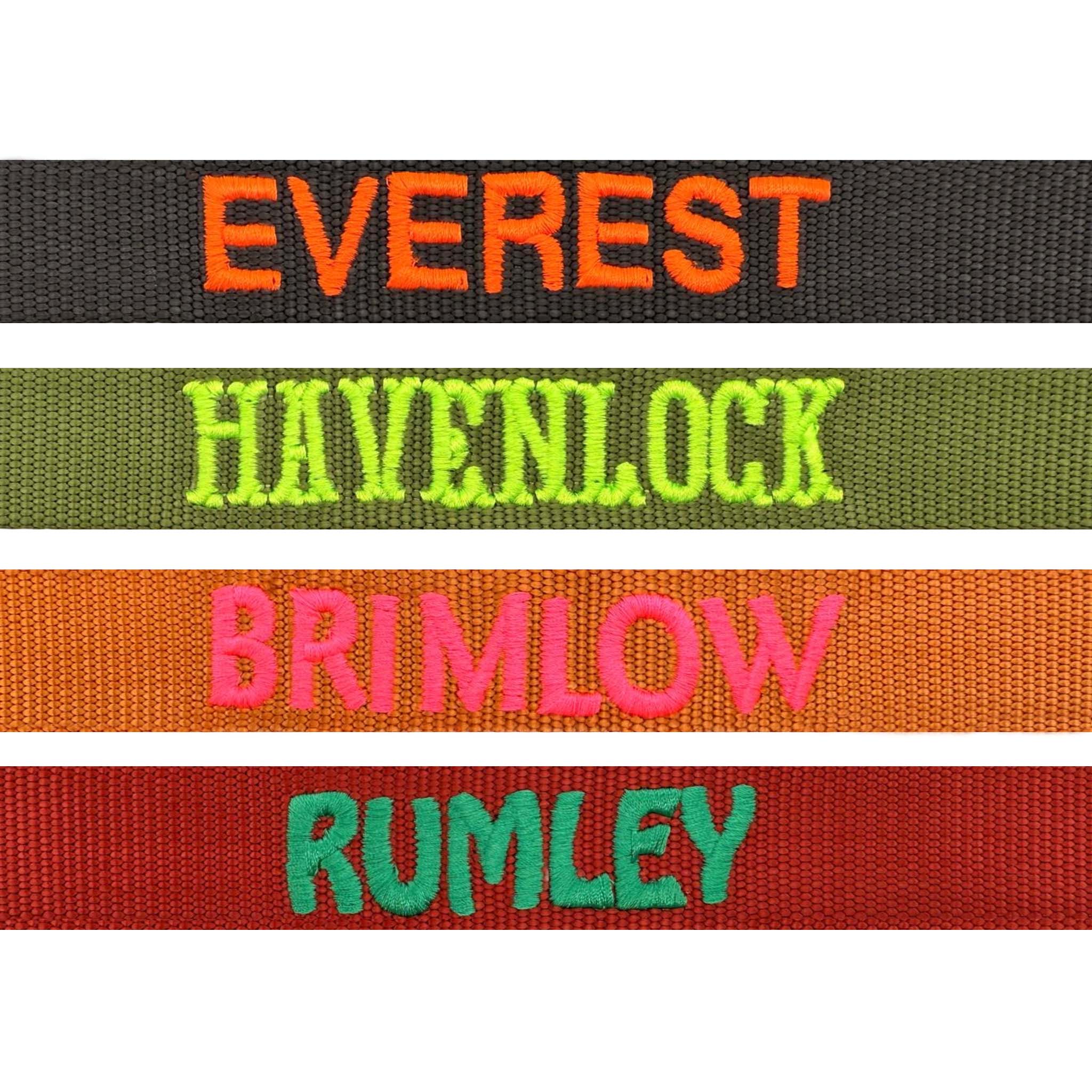 Classic Dog Collar Raven Illume Midnight Black