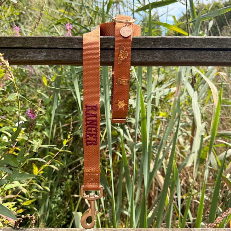 Classic Dog Collar Honey Drift Cognac Brown