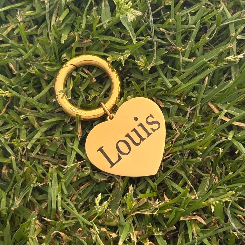 Engraved Heart Dog Tag