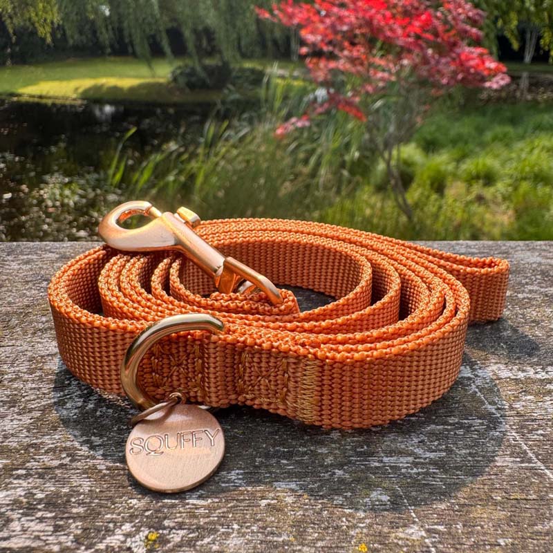 Puppy Dog Leash Honey Drift Cognac Brown