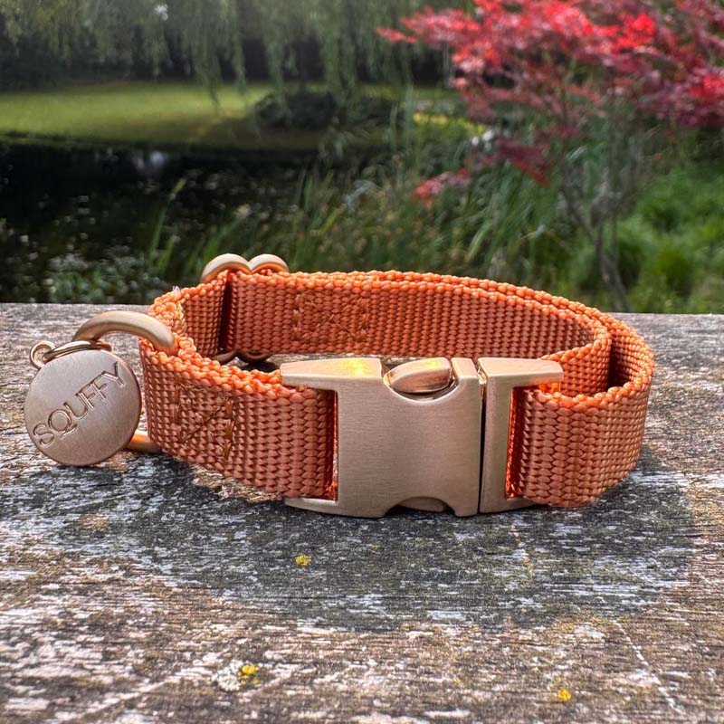 Puppy Dog Collar Honey Drift Cognac Brown