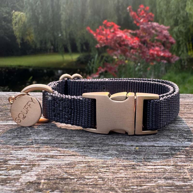 Puppy Dog Collar Raven Illume Midnight Black