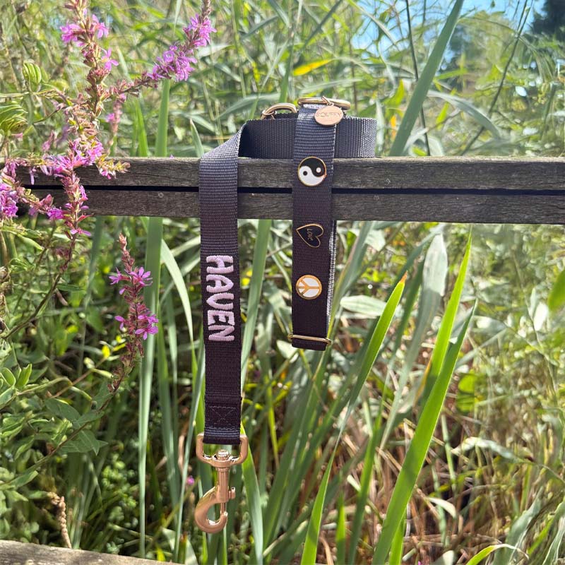 Classic Dog Leash Raven Illume Midnight Black