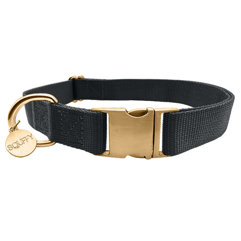 Classic Dog Collar Raven Illume Midnight Black
