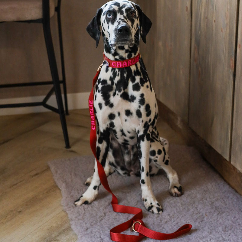 Classic Dog Leash Ruby Gale Ruby Red
