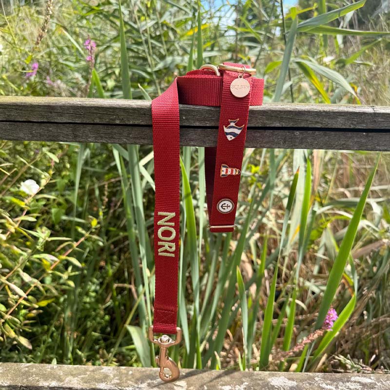 Classic Dog Leash Ruby Gale Ruby Red