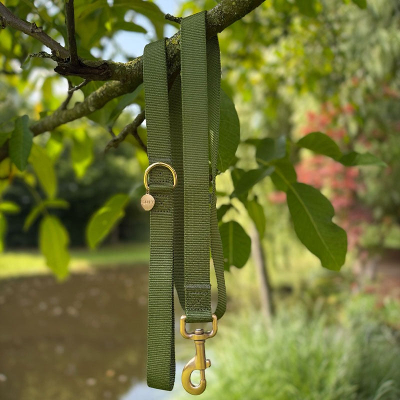 Classic Dog Leash Moss Breeze Olive Green