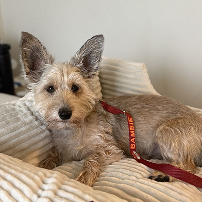 Classic Dog Leash Ruby Gale Ruby Red