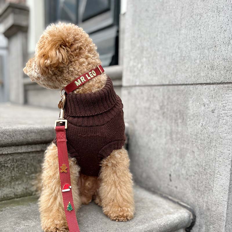 Puppy Dog Collar Ruby Gale Ruby Red