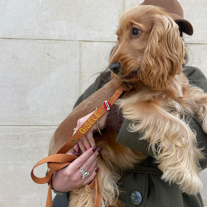 <p>Customer Experiences</p>