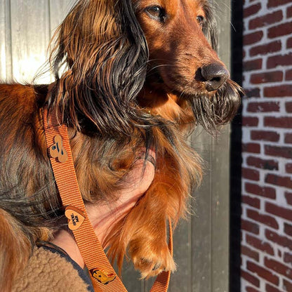 Classic Dog Leash Honey Drift Cognac Brown