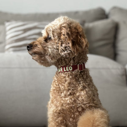 Puppy Dog Collar Ruby Gale Ruby Red