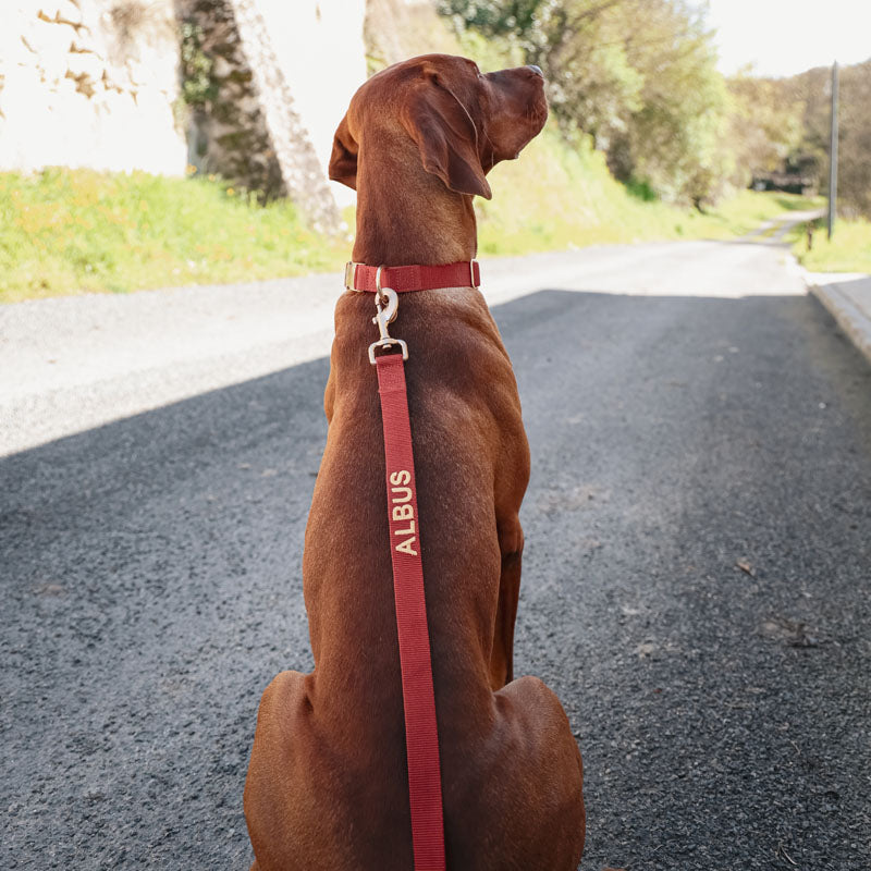 Classic Dog Leash Ruby Gale Ruby Red