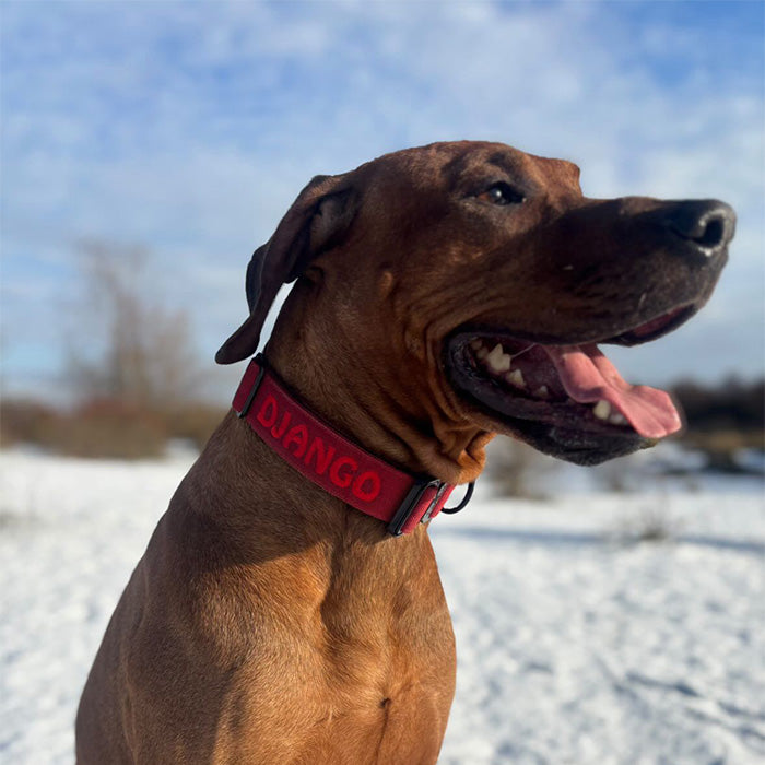 <p>Customer Experiences</p>