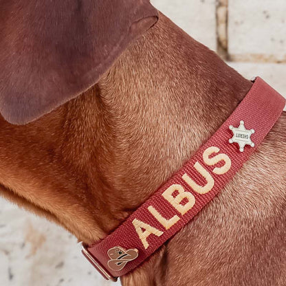 Sheriff Badge