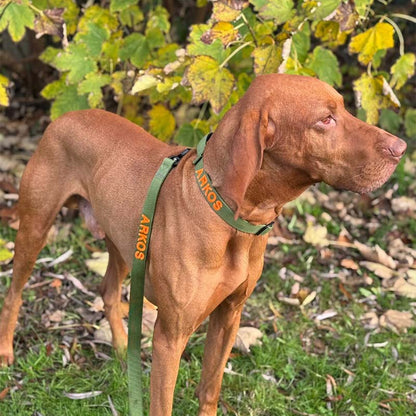 Tactical Dog Leash Moss Forge Olive Green